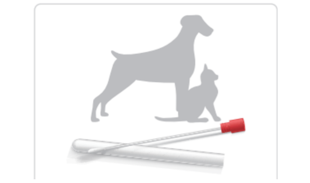 xinjianPPTXyanshiwengao_01(13).png